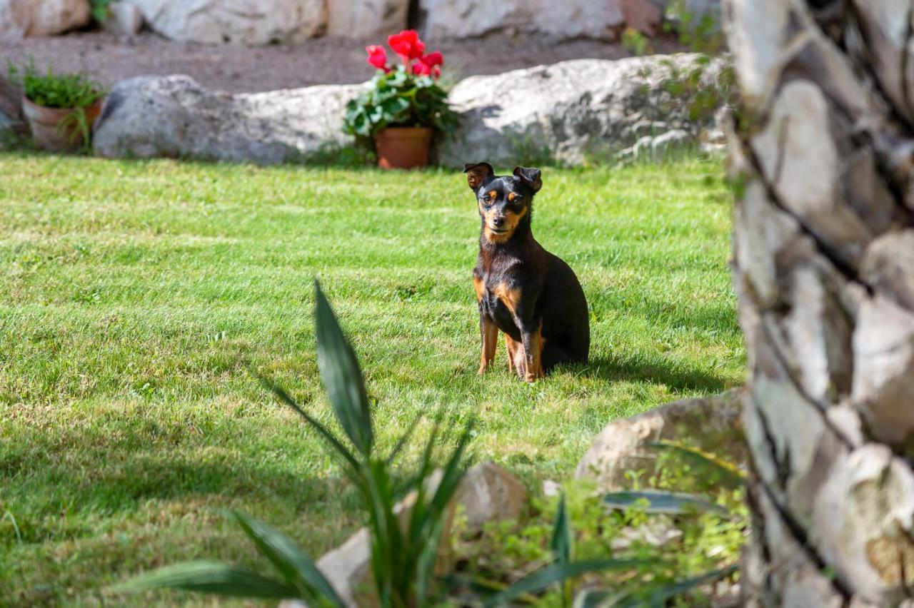 B&B La Gradina Osimo Exterior photo